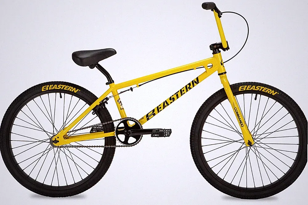 freestyle bicycle for adults 24