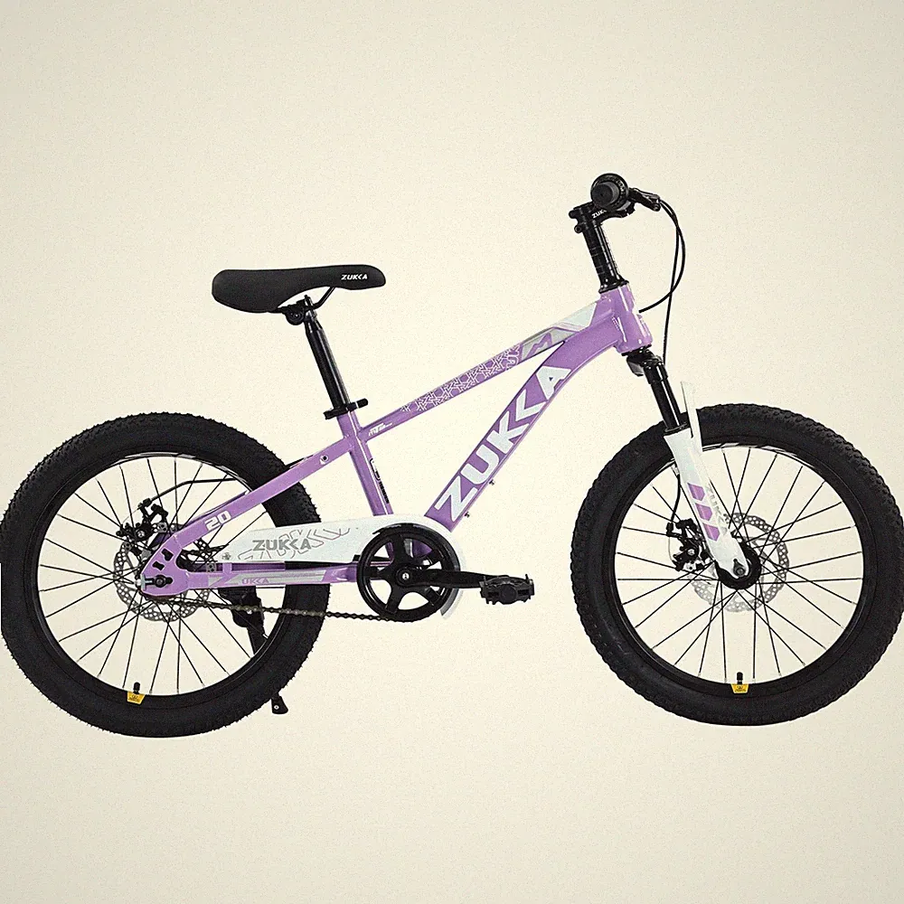 Freestyle Kids Bike 20 In Single Speed Children's Bicycle for Boys Girls,Purple